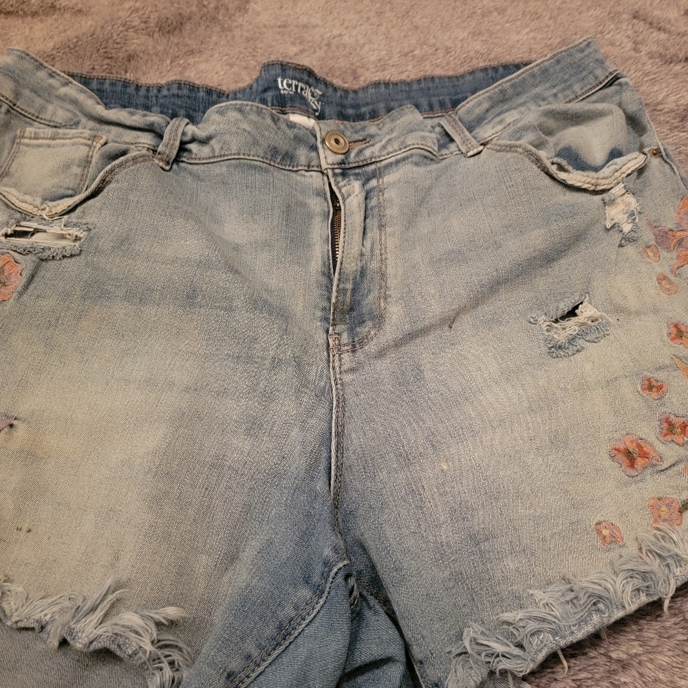 Terra & sky shorts